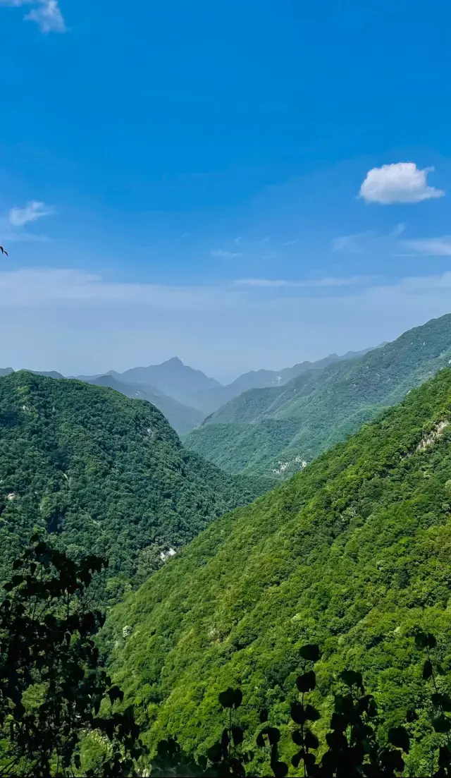 太平國家森林公園。