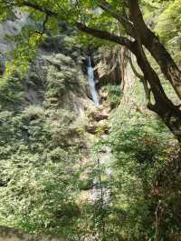 太平國家森林公園。