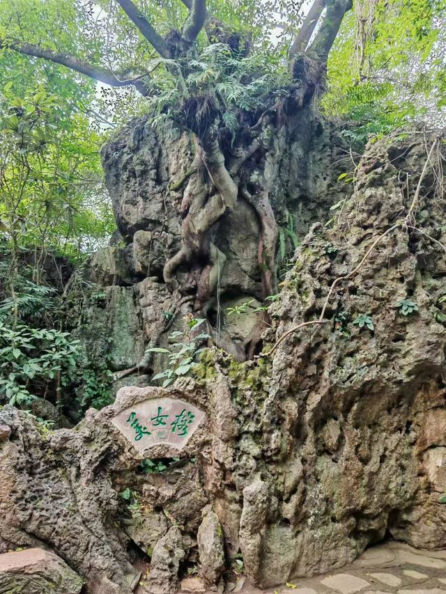 天星橋。