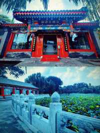 “京”日好去處（十二）——什剎海西海濕地公園