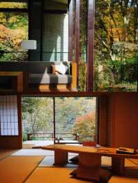箱根最美溫泉住宿，紅葉季去會幸福到天花板。