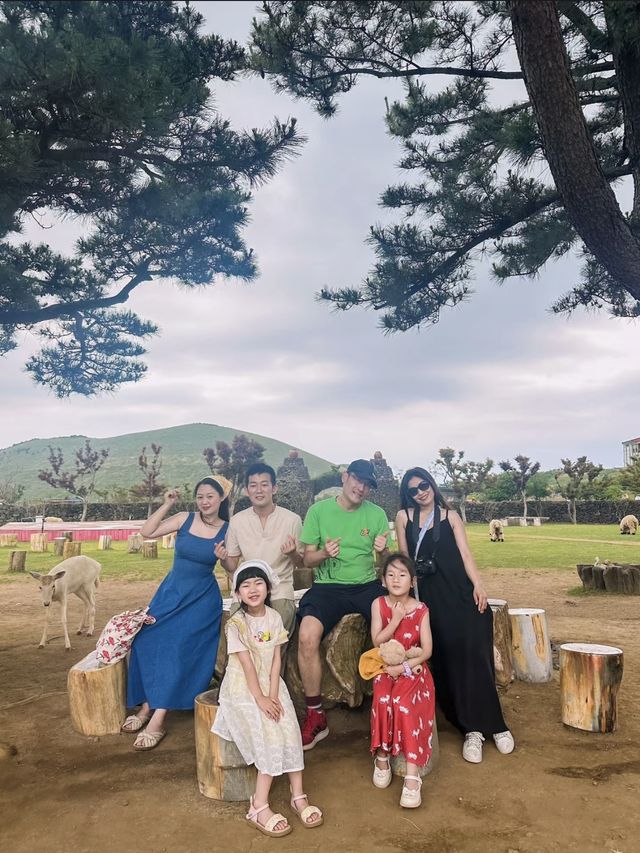 天啊,在濟州島摸到了現實版黑臉小羊肖恩。
