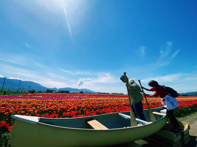 夢幻維多利亞｜布查特花園的花海盛宴。