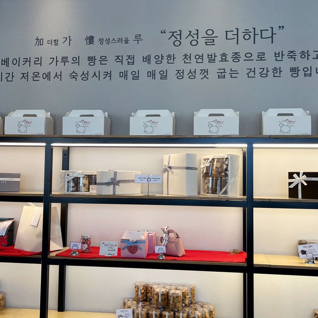 속초 빵지순례 크림빵 맛집 베이커리 가루🥖
