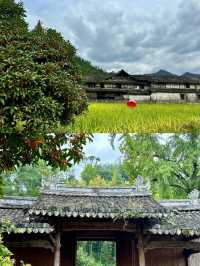 漂亮得讓我感動的浙江農村。