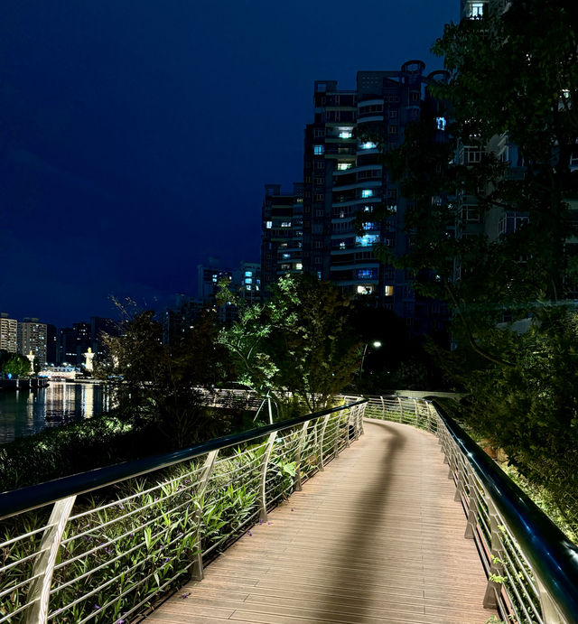 上海蘇州河美麗的夜景。