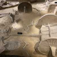 Tianzi Jialiu Museum in Luoyang - Eastern Zhou Royal Horse and Chariot Pits