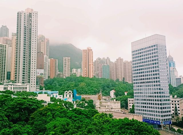 Green Heart of Concrete Jungle: Hong KongPark