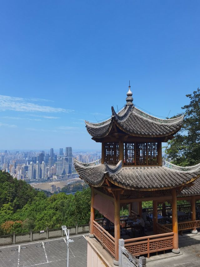 走進塗山寺，品歷史韻味享自然茶香～。