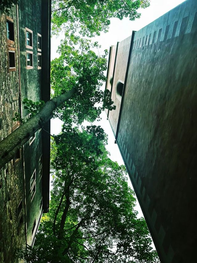 巴塞爾 ｜瑞士。