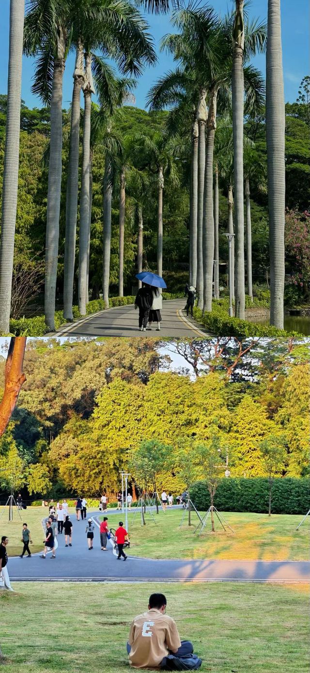 治癒綠!!天河公園｜來一場都市綠野仙蹤。