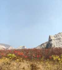 荒野紅葉，異星礦場。