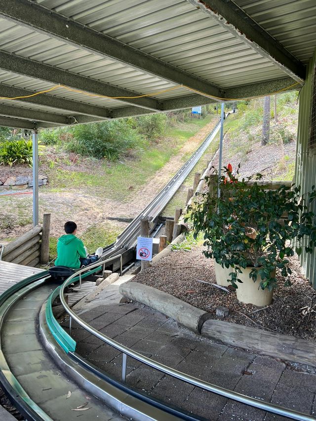 悉尼周邊遊｜Port Stephens 史蒂芬港。