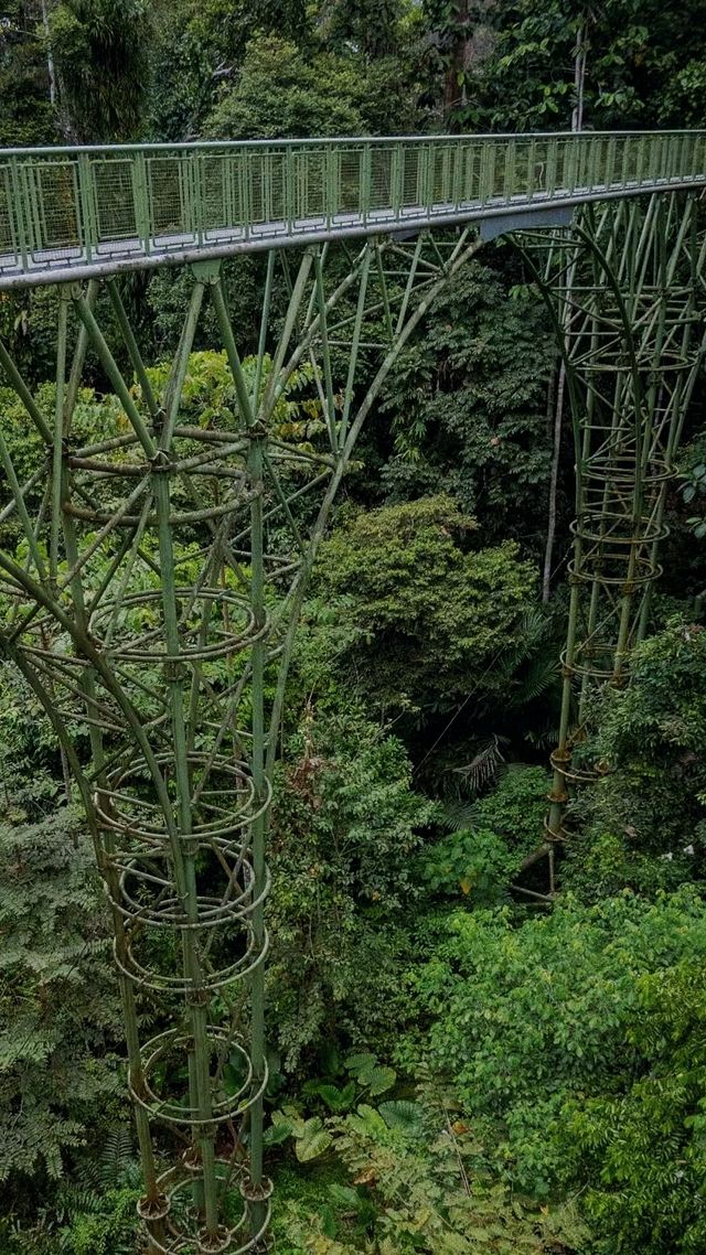 出門考察世界。