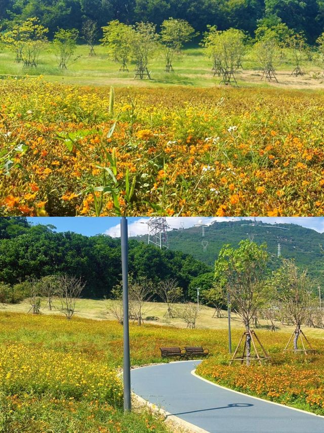 廈門適合一個人無聊閒逛的地方。