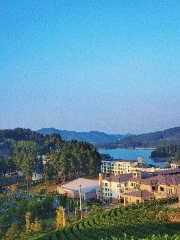 生命就該浪費在安吉這樣的地方。