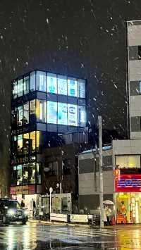 《北海道：夢幻之境的冰雪與浪漫之旅》。