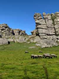 英國小鎮旅遊 | 達特福德不可錯過的3大景點 。