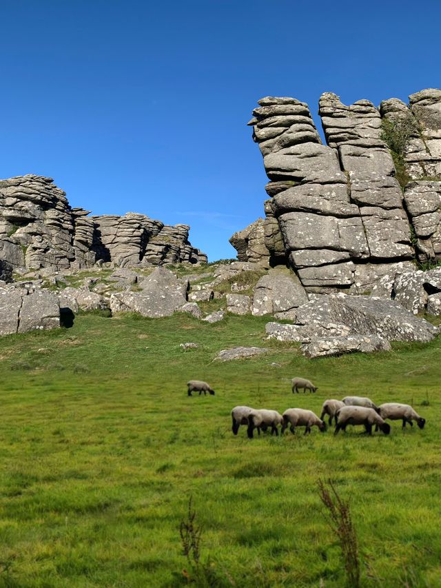 英國小鎮旅遊 | 達特福德不可錯過的3大景點 。