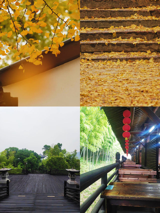 浙江長興  深山裡的避世仙境 大唐貢茶院。