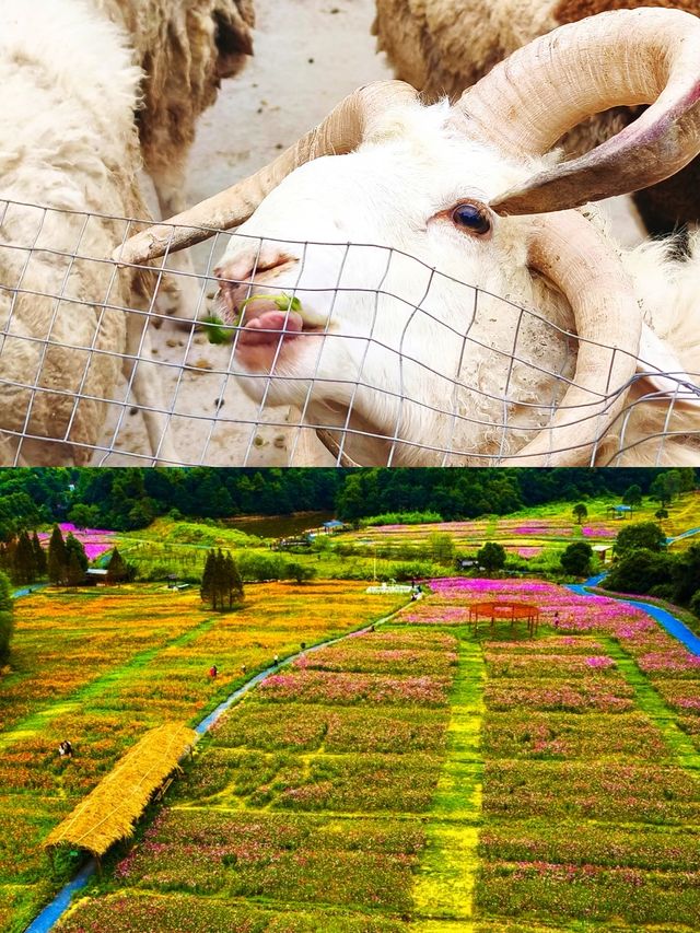 探索宜春隱藏景點——江西百峰嶺。