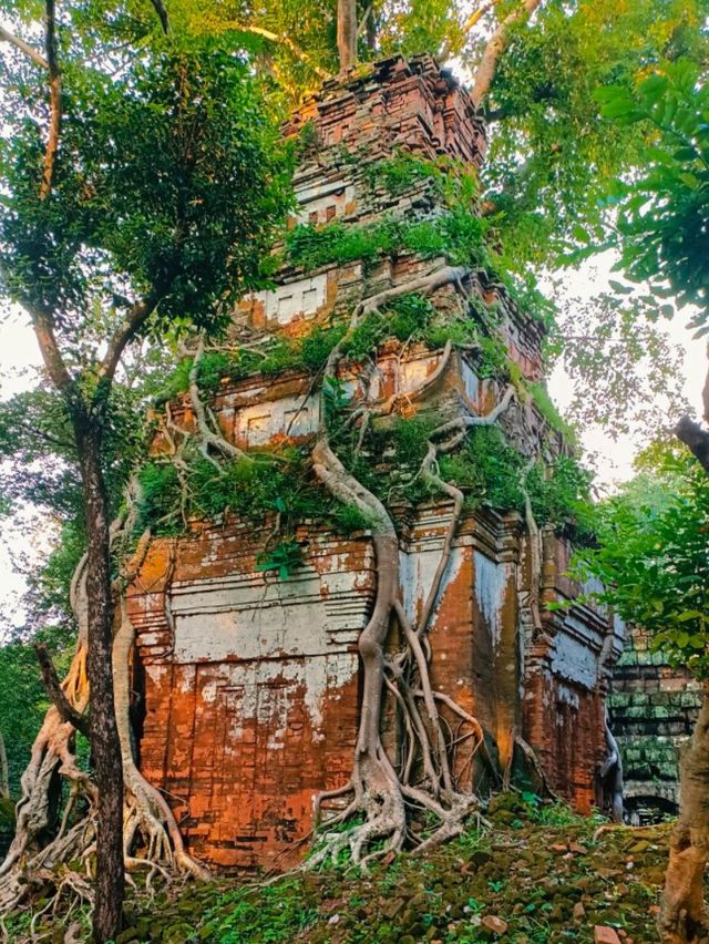 Prasat Pram: In The Possession of Jungle