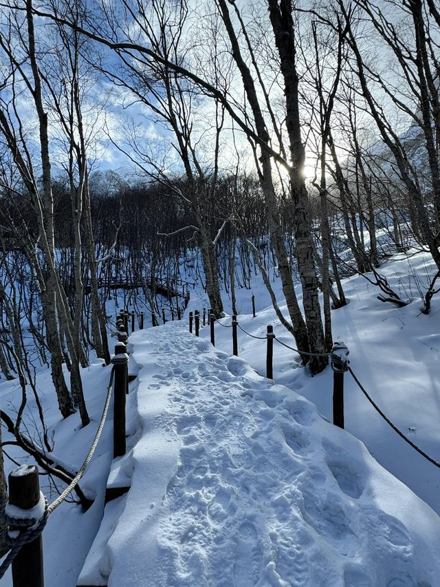 長白山下雪了，美得令人驚嘆。