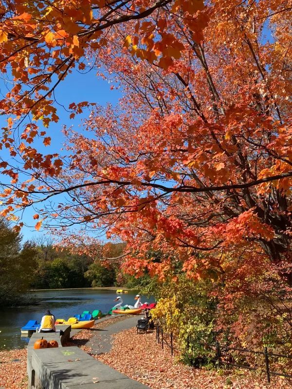 Autumn is the most beautiful season!! 