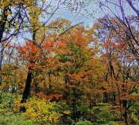 秋日遊玩觀賞聖地——哈爾濱香爐山。