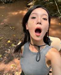 西雙版納基諾山巴朵雨林行山。