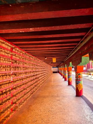 9-day trip to Sichuan. 