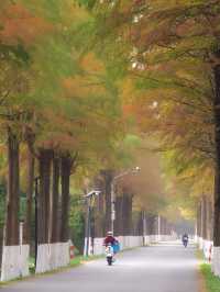 廊下郊野公園。
