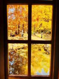 Discover the Enchanting Moomin Garden