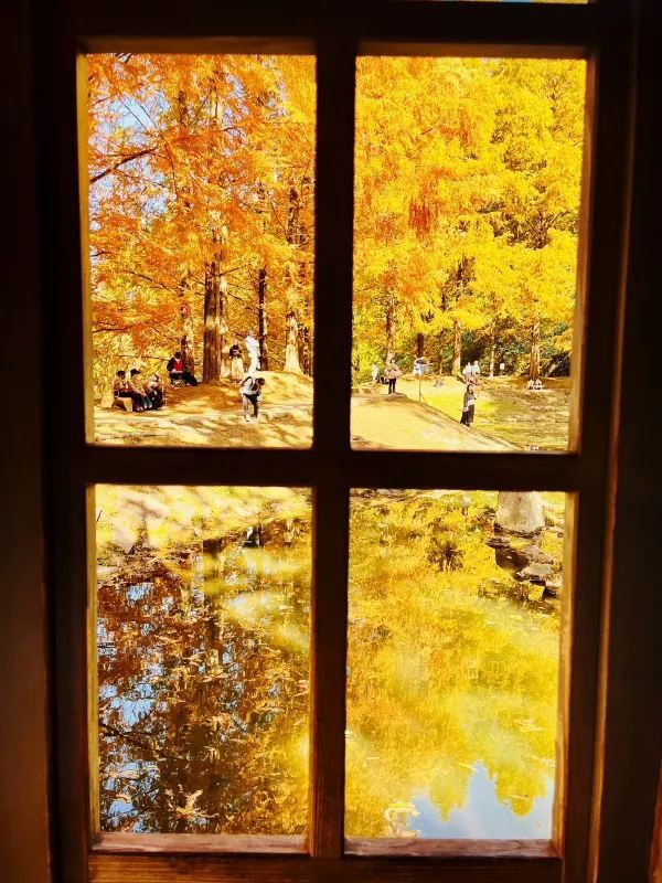 Discover the Enchanting Moomin Garden