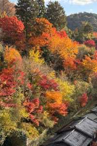 京都｜清水寺紅葉瀑布 風光無限