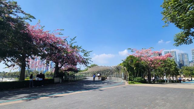 冬天深圳后海中心河公園逛一逛