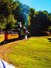 坐上蒸汽火車穿越紅杉樹林