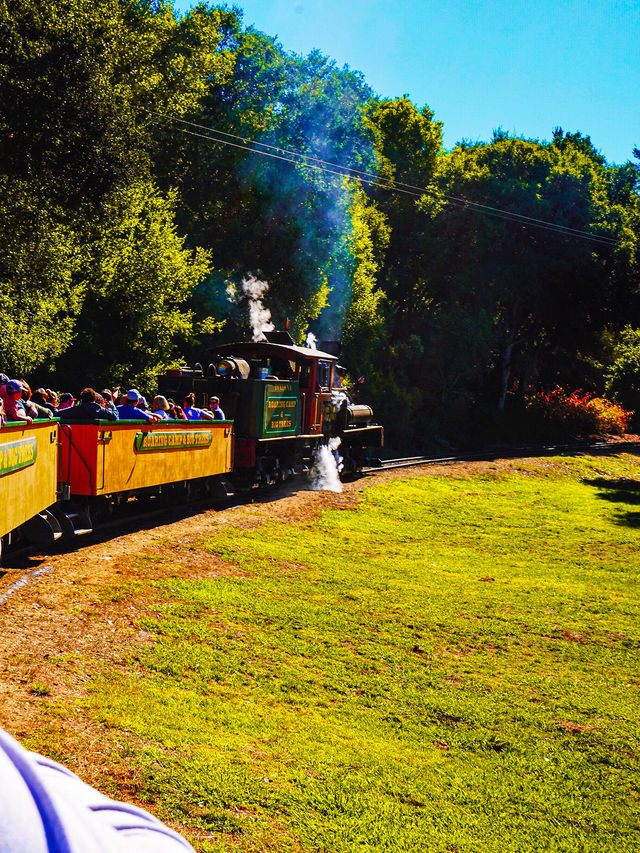 坐上蒸汽火車穿越紅杉樹林 坐上蒸汽火車穿越紅杉樹林