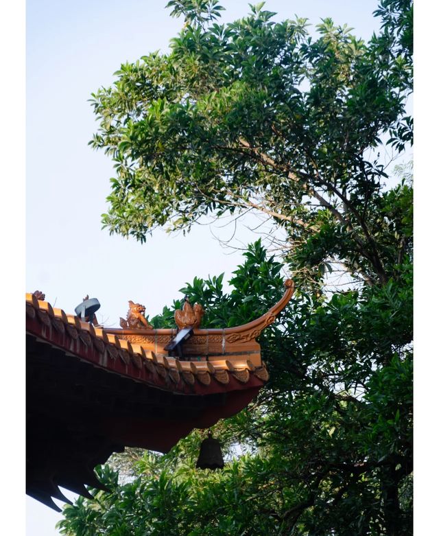 紅花山公園｜不出片可能是缺個攝影師。