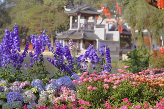 0元打卡廣州「莫奈花園」