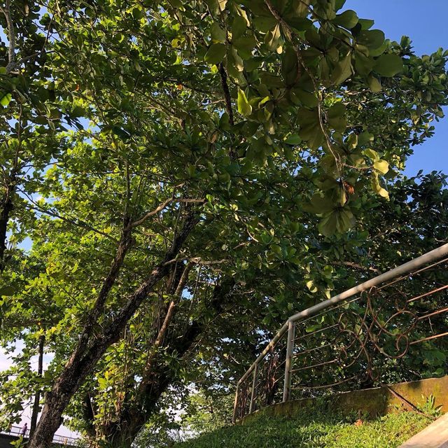 麥克阿瑟登陸紀念公園：穿越歷史的海濱之旅