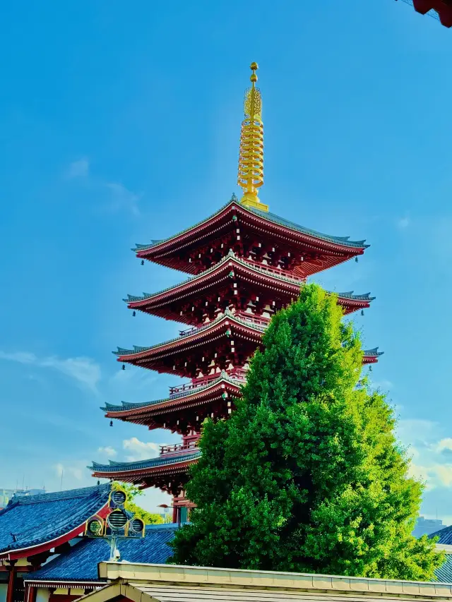 冬日日本遊 錯峰出行更愜意