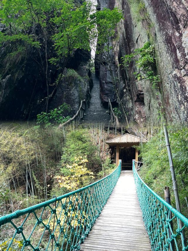 麗水·南尖岩景區｜雲海深處的夢幻之旅，開啟心靈桃源