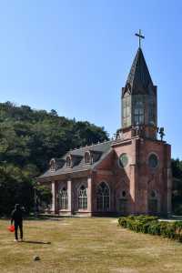 廣西玉林小眾森林公園，仿若來到北歐「森系秘境」