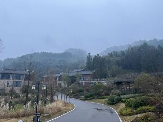 Chongqing Laoyingwo Molin Zhuyuan Homestay