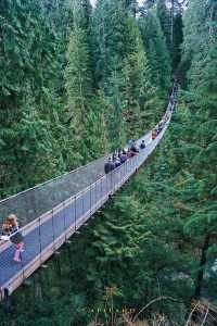 Explore the Famous Capilano Suspension Bridge in Vancouver, Canada
