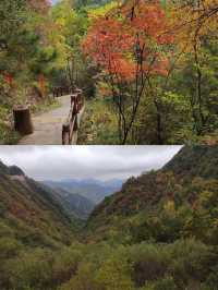 塔雲山/秦嶺第一仙山，天下最險道觀