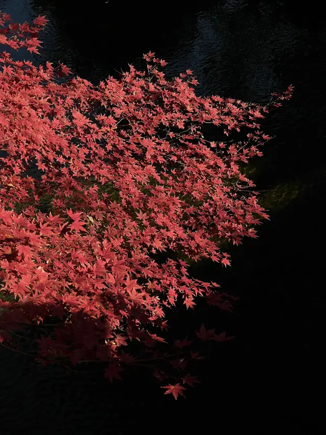 6-Day Tour of Shanghai, Suzhou, and Hangzhou: Detailed Guide