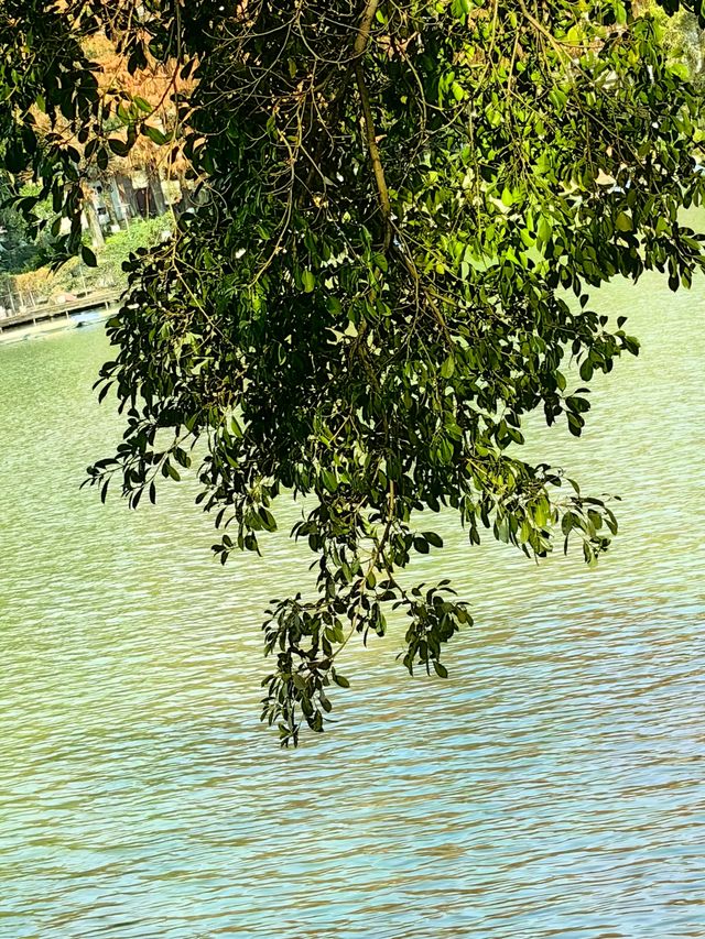 桂林桂湖