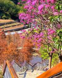 頭陂公園，自然與歡樂的完美融合